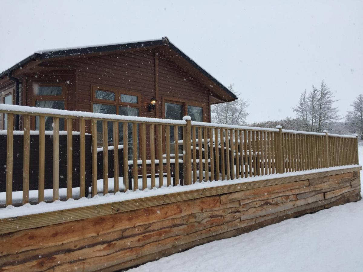 The Warwick lodge - Housity