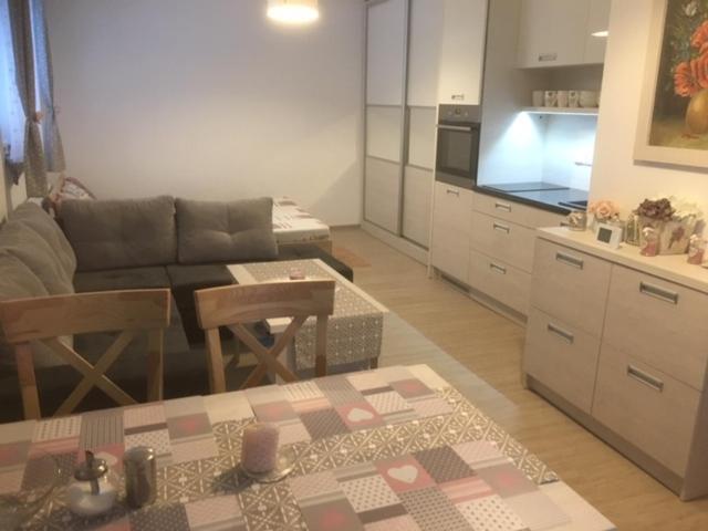 Apartmán Filipovice s letní terasou - Housity