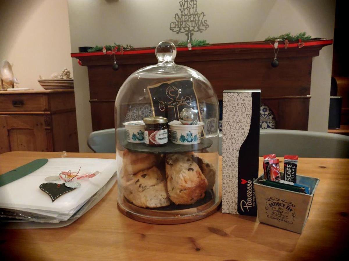 dog friendly nancecliff cottages - Housity