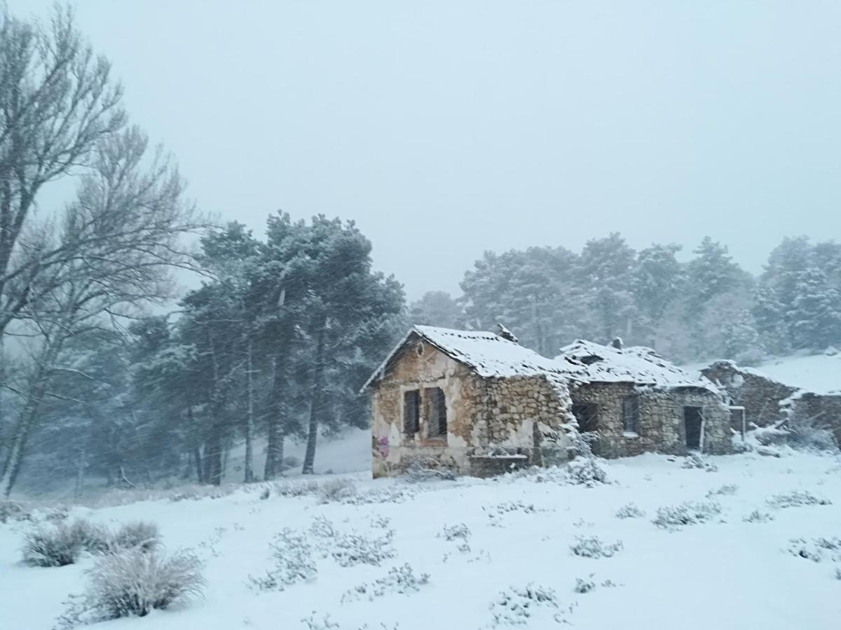 Alojamiento Los Pineros Arroyo Frio - Housity