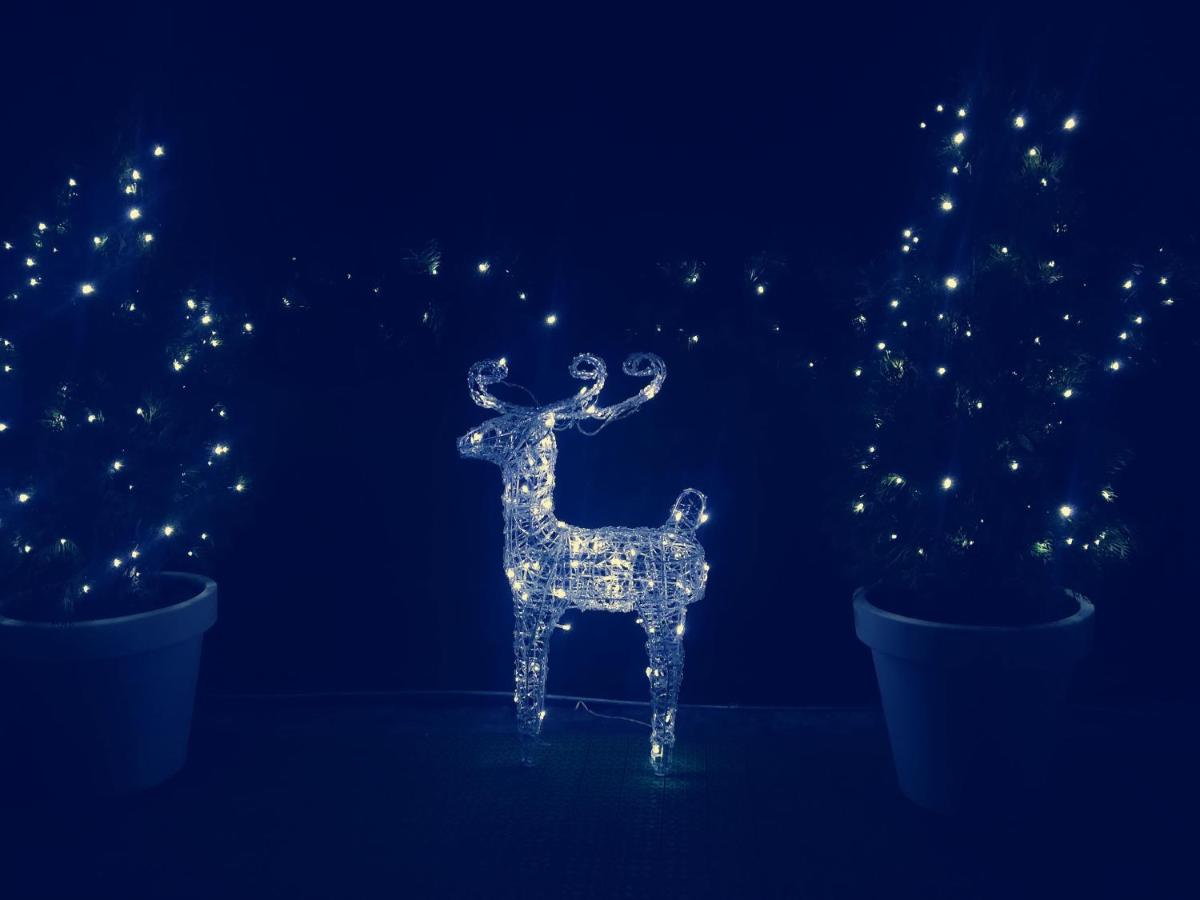 Apartment Garmonia - Housity