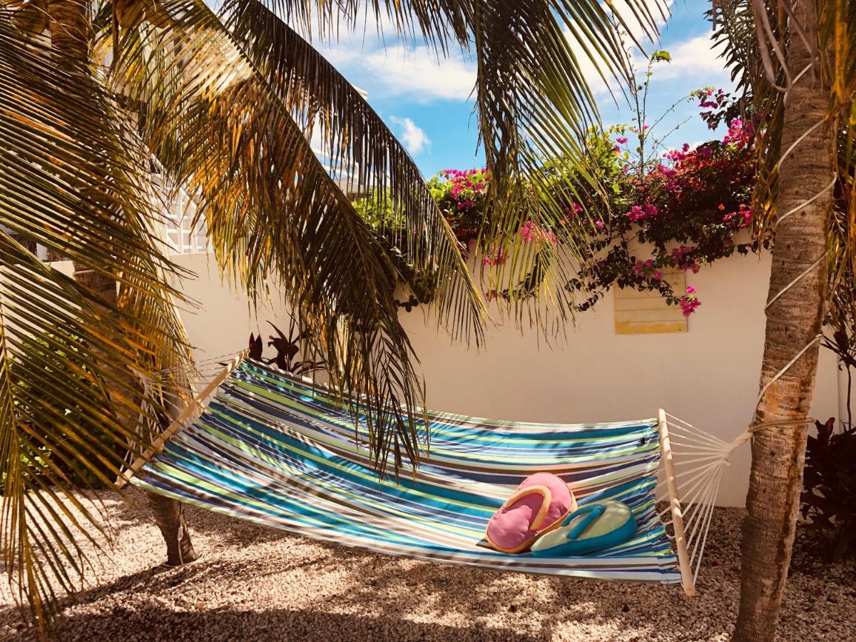 Karibu Aruba Boutique Hotel - Housity