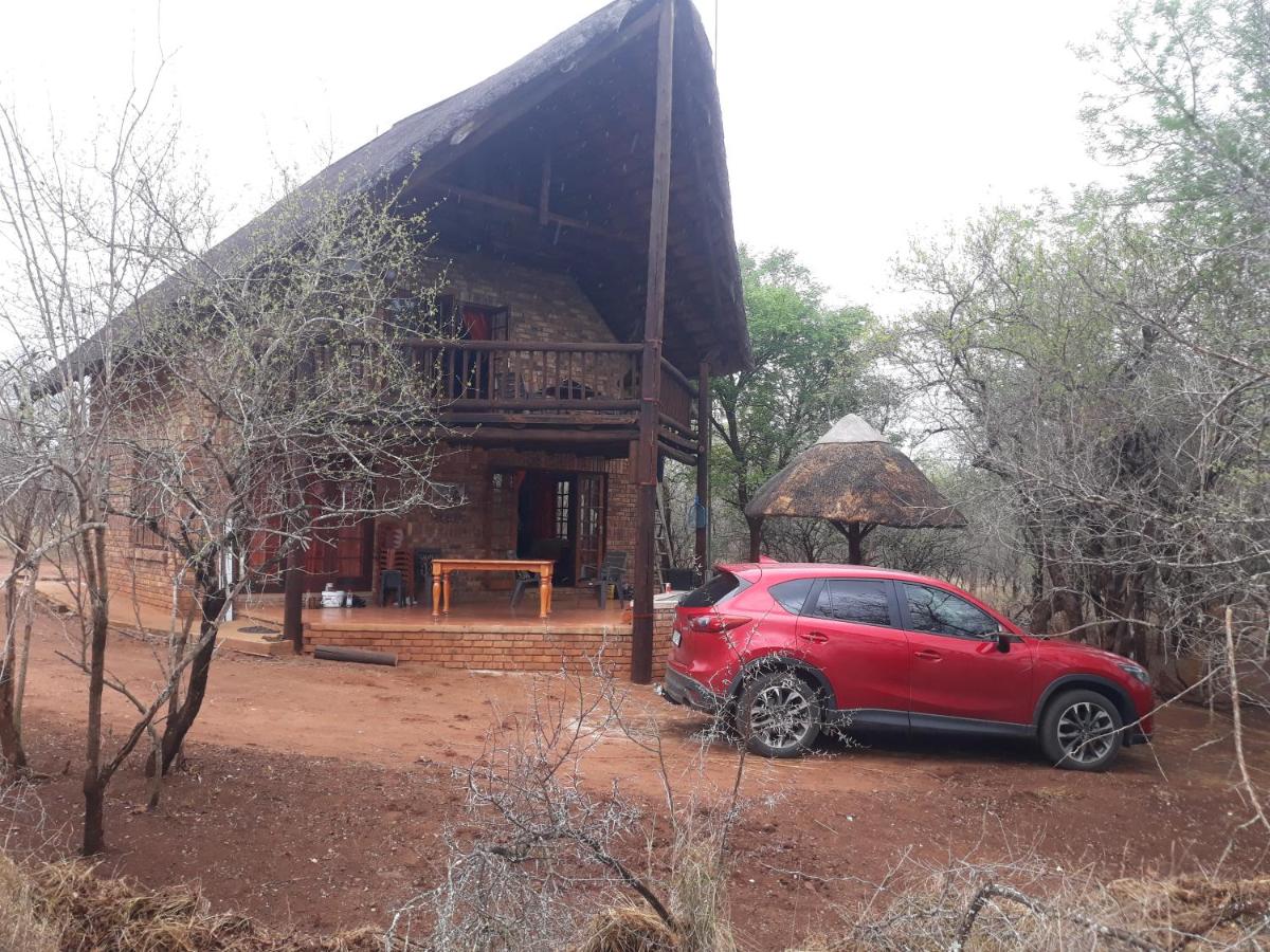 Little Bush Baby - Housity