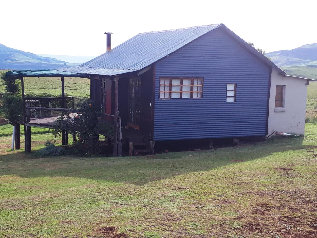 The Tin Shack - Housity