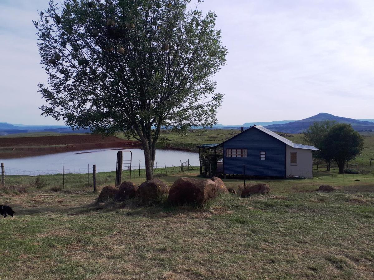 The Tin Shack - Housity