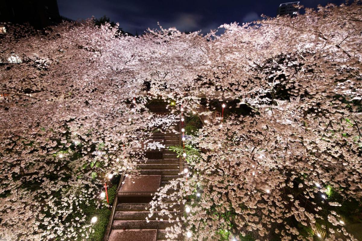 Takanawa Hanakohro - in Grand Prince Hotel Takanawa - Housity