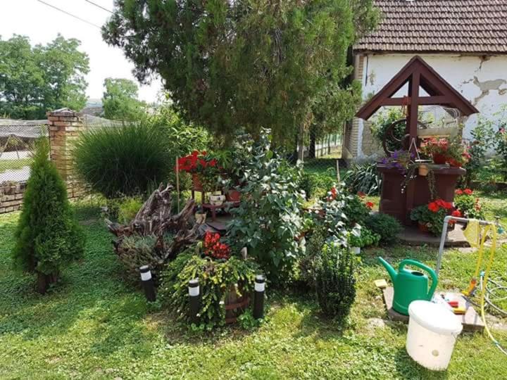Apartman Kalinka - Housity