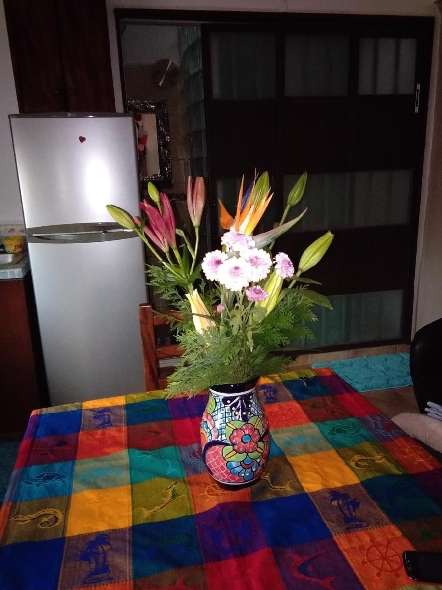 Bucerias Bungalows - Housity