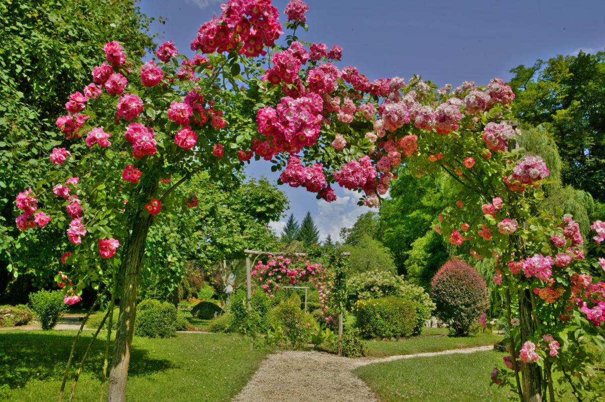 Jardin de l'établissement Les Glycines - Hôtel & Spa - Teritoria