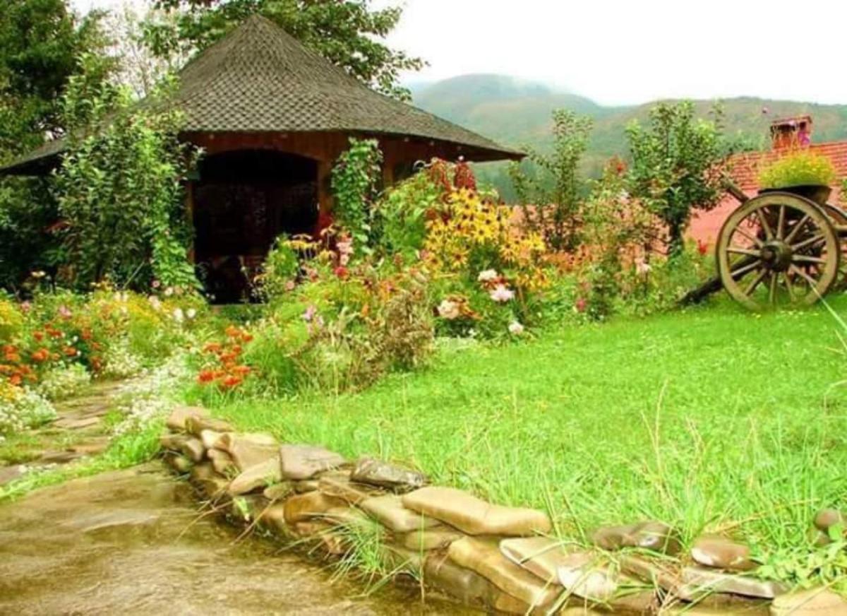 Pension Casa Aurora - Housity