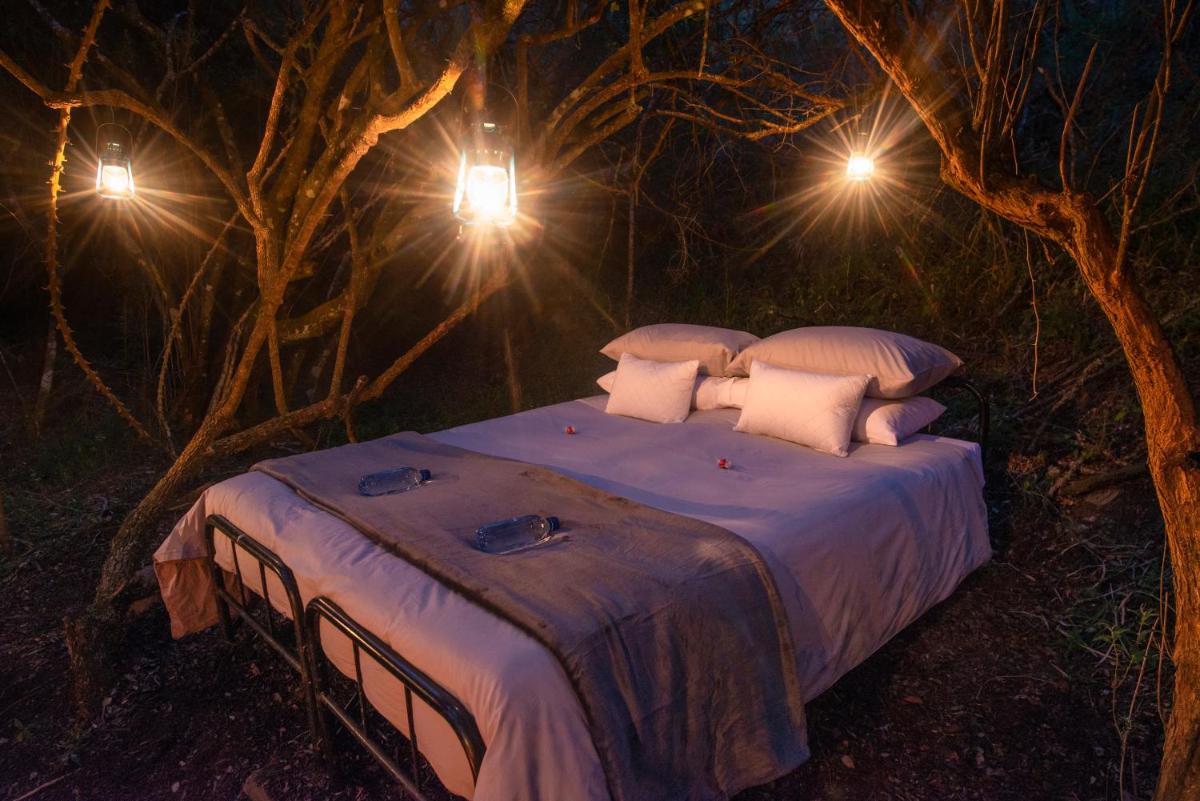 Suitetrails - Stargazer Safari Camp - Bellevue Forest Reserve