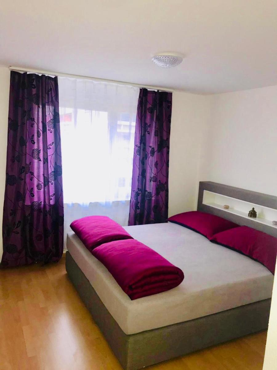 3 Room Premium Apartment Buchs SG - Housity