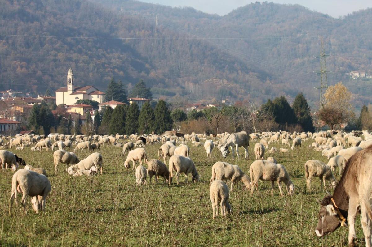 Amata Valgre Affittacamere, comfort e pulizia eccezionali!! - Housity