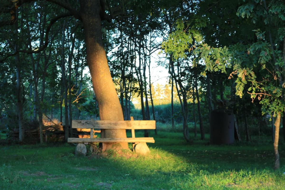 Ferienhaus Raabe - Housity