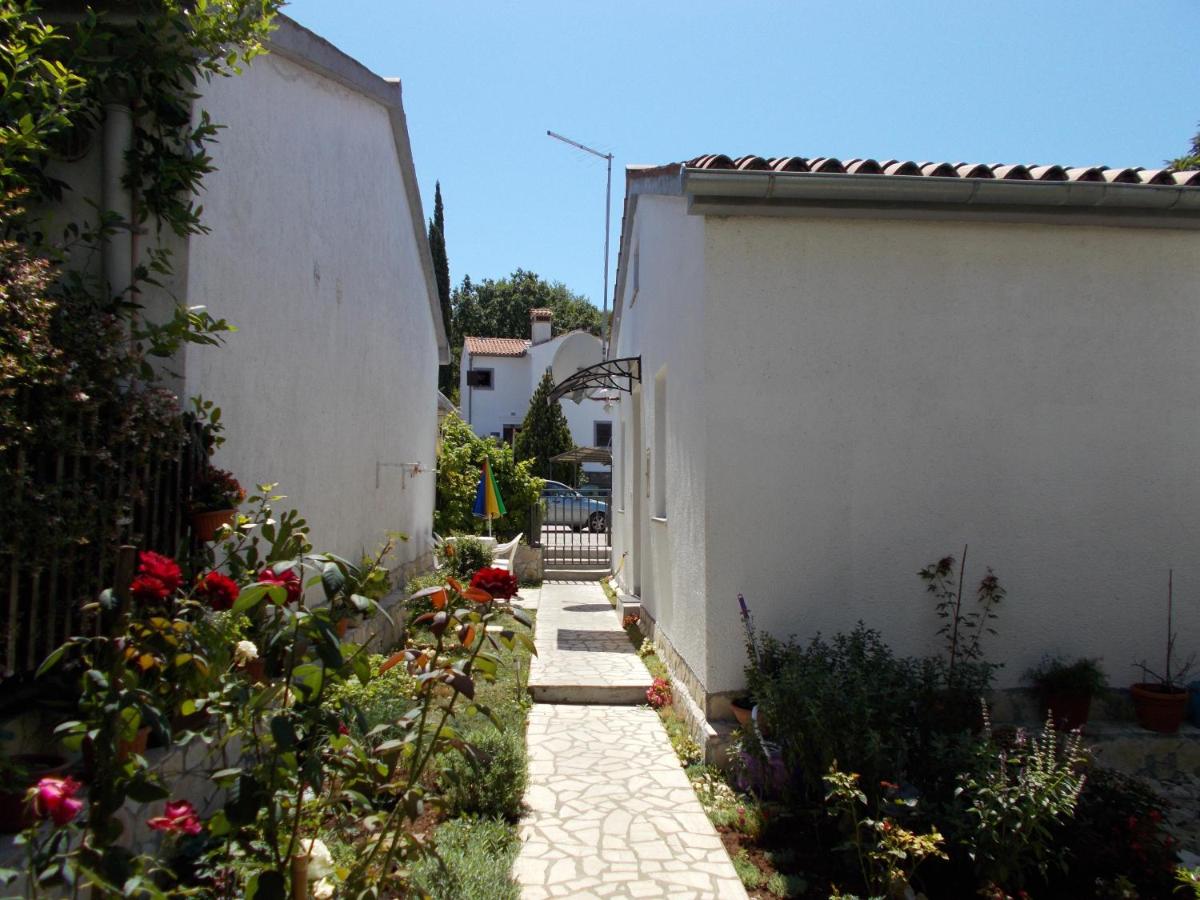 Dragana - Housity