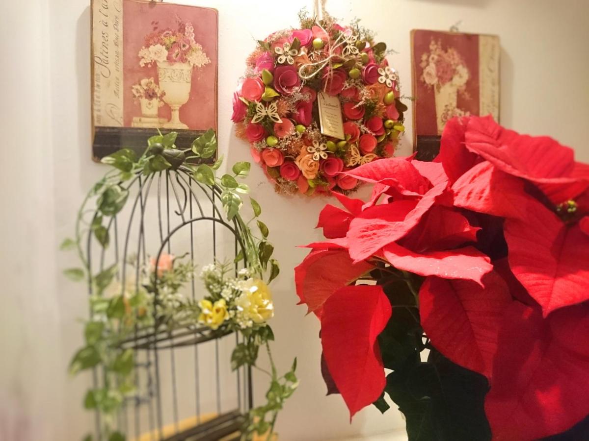 Pension Candytuft - Housity
