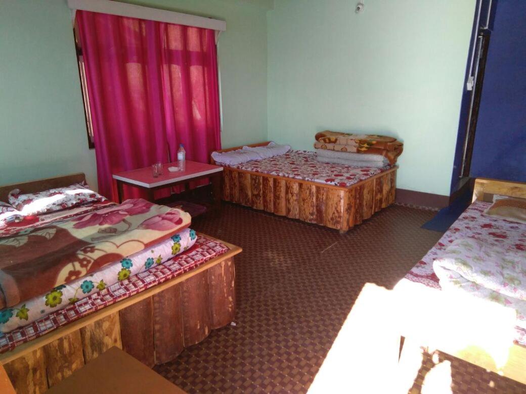 Vamoose Red Panda - Housity