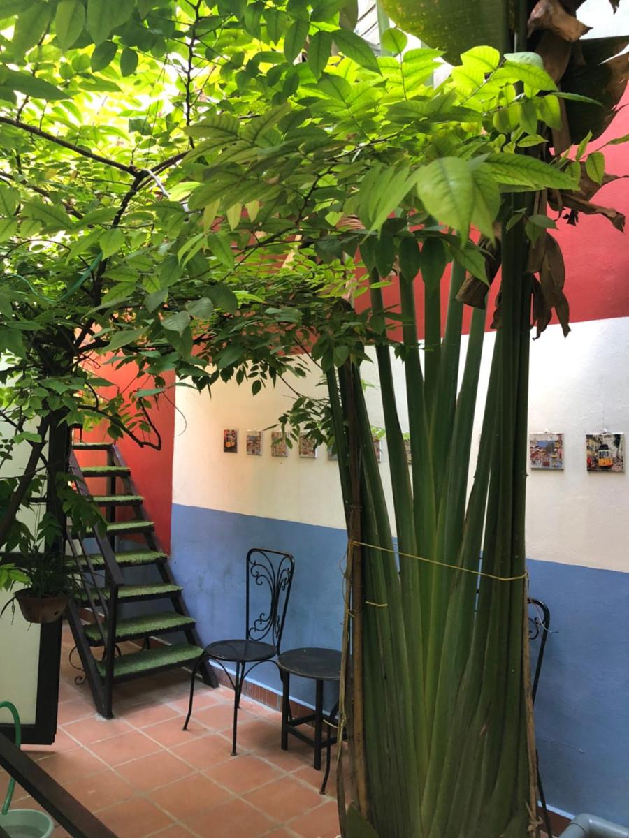 Ventana house - Housity