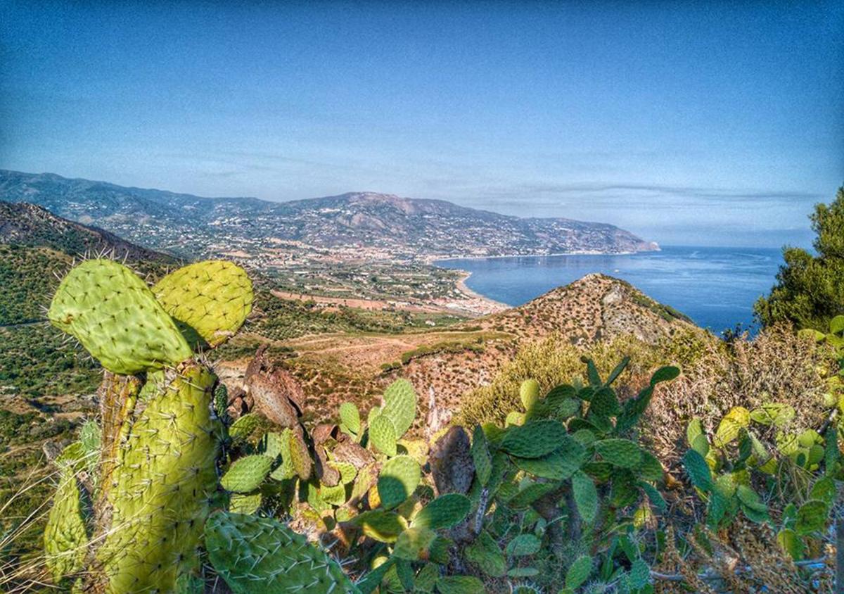 Baia Dei Delfini - Housity
