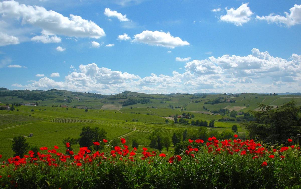 Cascina tra i vigneti a Nizza Monferrato - Housity