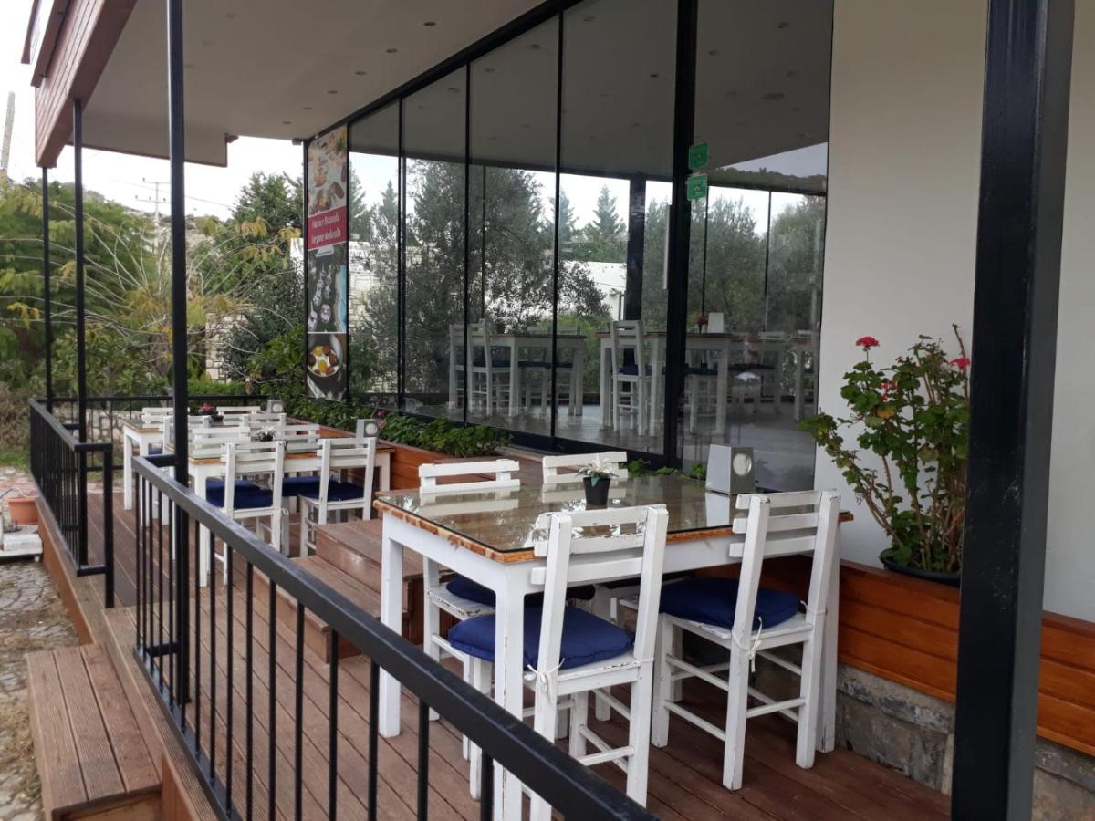 Liona Hotel & SPA - Housity
