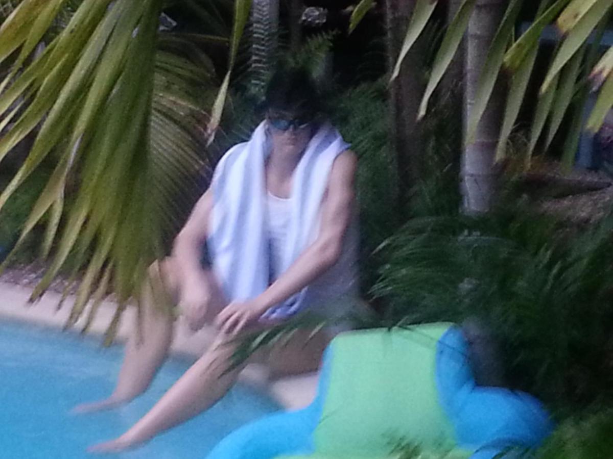 Calypso Inn Wilton Gay Male Resort - Housity