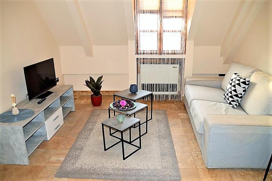 Downtown Apartments Superior - Housity
