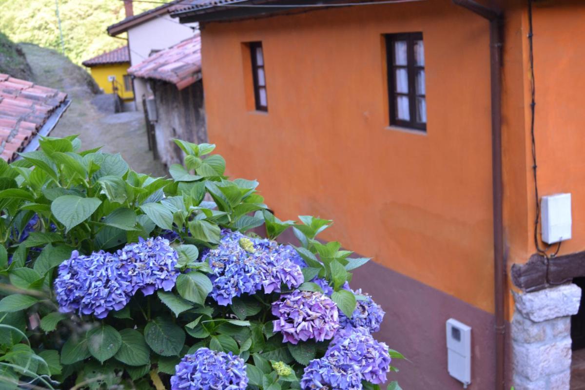 Casa Gelina - Housity