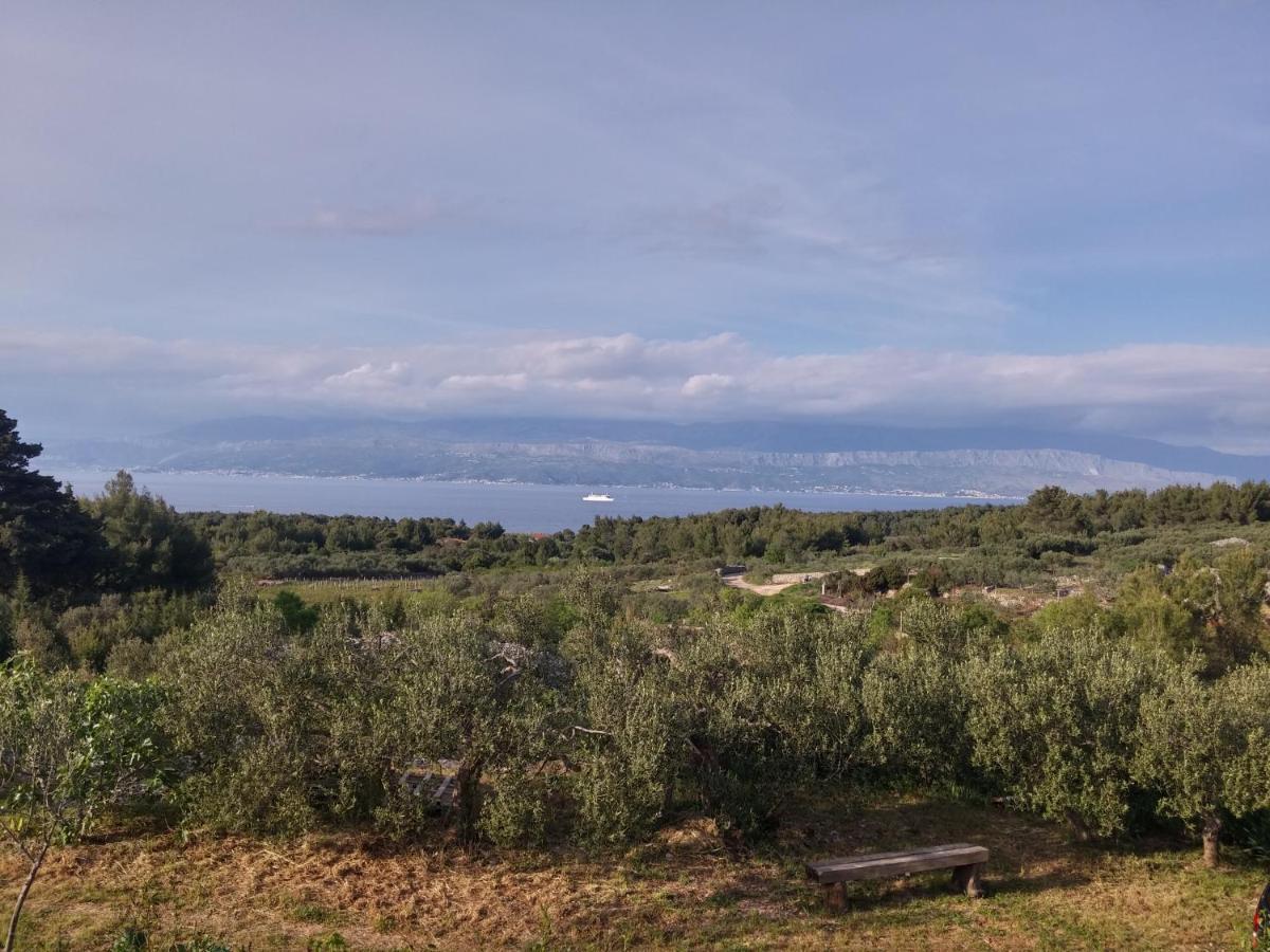 Holiday Home Ruža - Housity