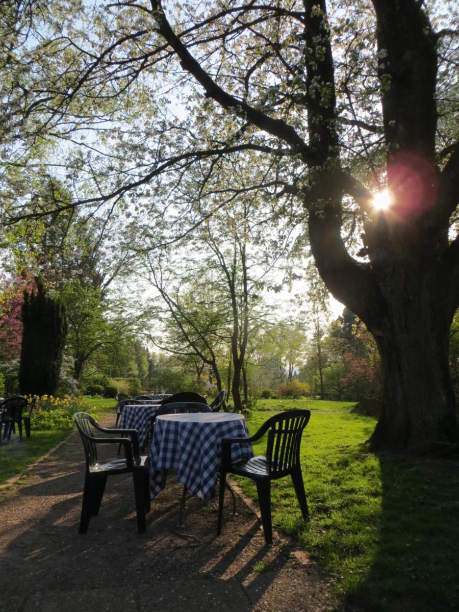 Suitetrails - Hotel-Café 