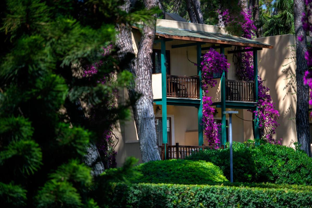 Turquoise Hotel - Housity