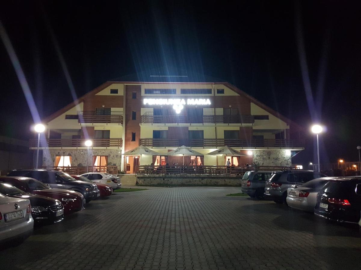 Pensiunea Maria - Housity