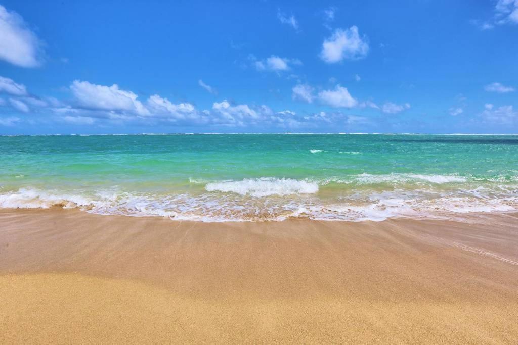 Stunning Ocean Views Condos in Oahu at Punaluu - Housity