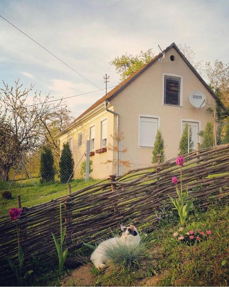 Holiday House Dolina - Housity