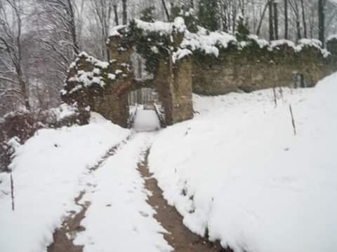 Kuća za odmor"Miran san" - Housity