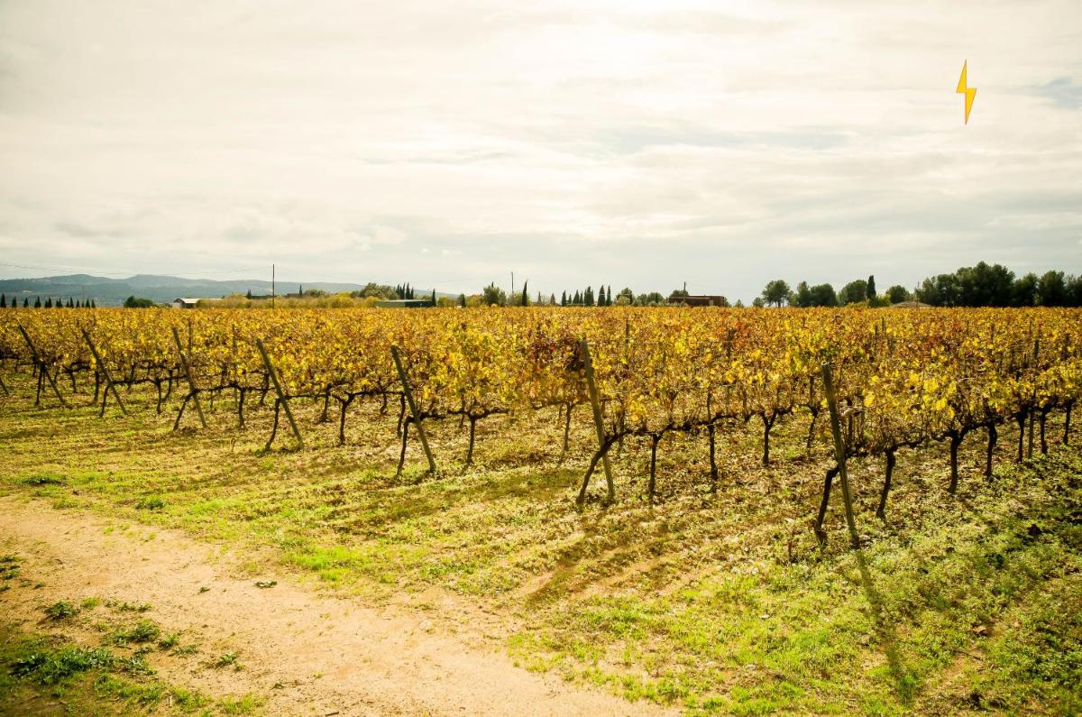 B&B Tina de Pacs, close to local wineries - Housity