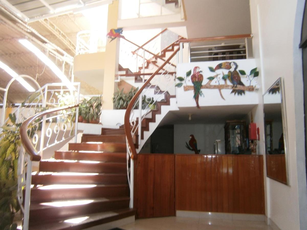 Hotel Payanito - Housity