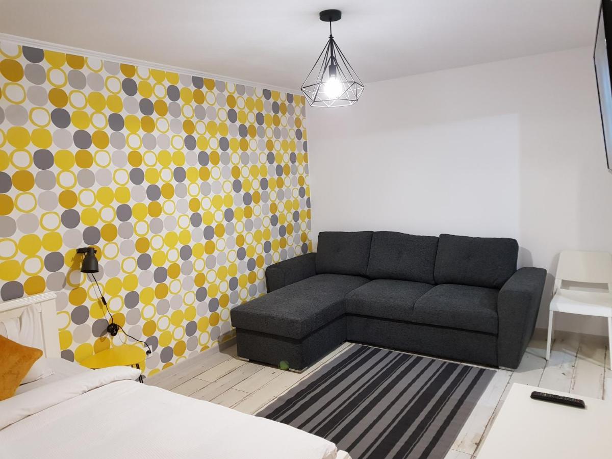 Dream Studio 2 Petrosani - Housity