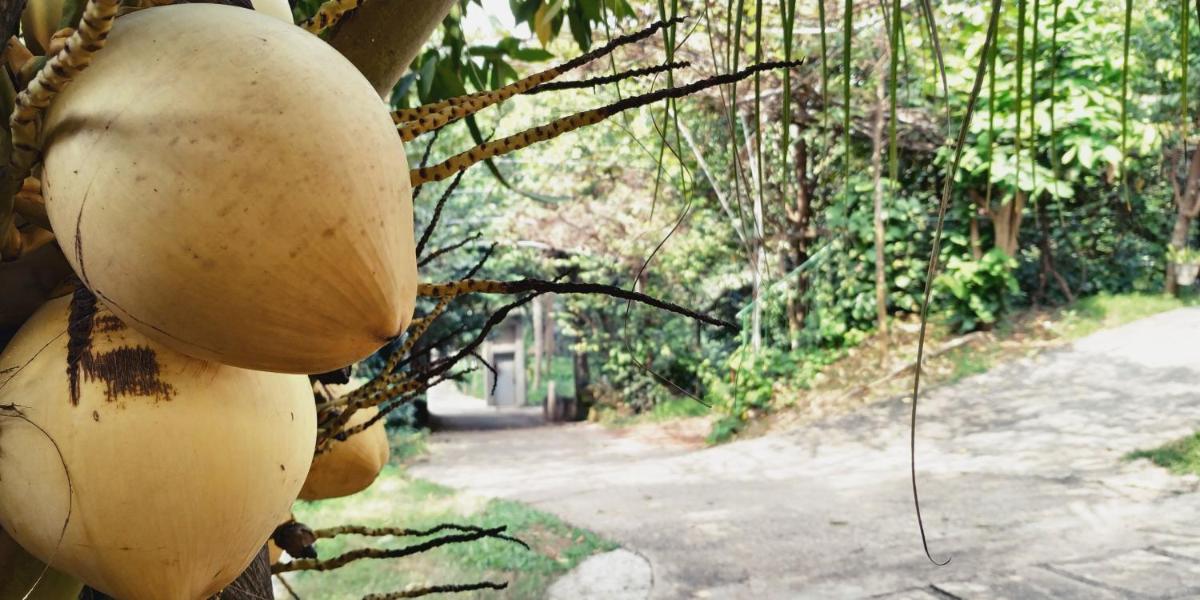 Suitetrails - Colombo Hotel by Colombo Village
