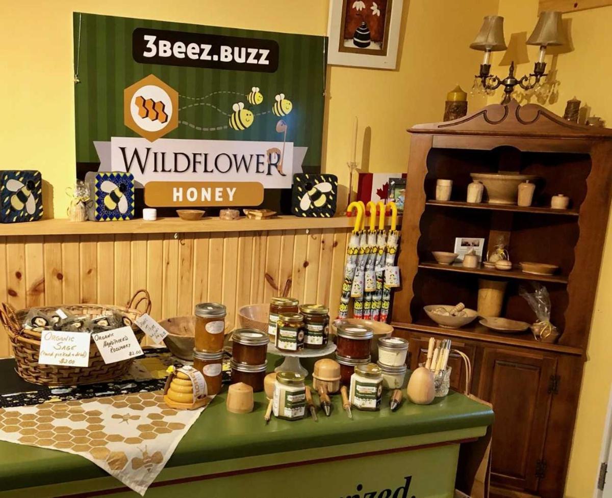 Our Valley View Bed & Breakfast - Housity