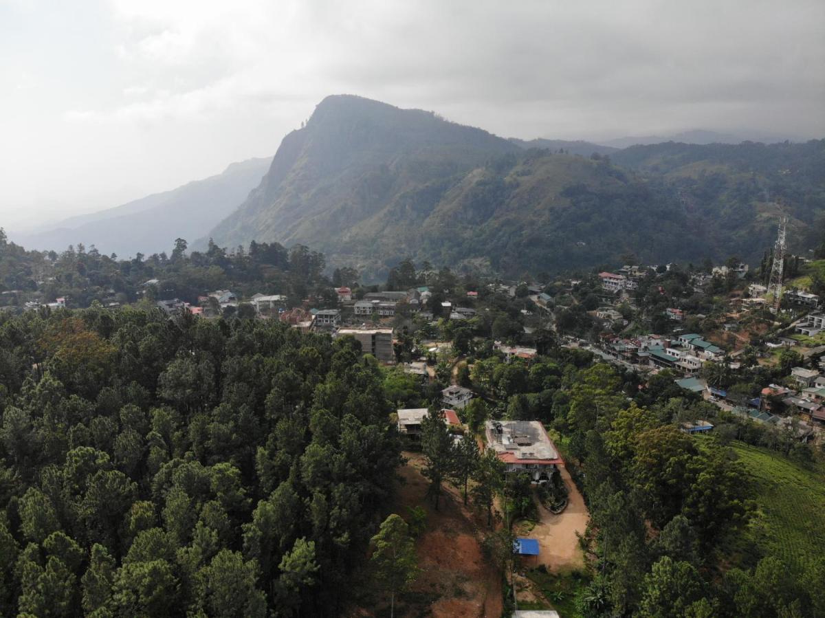 Forest Paddy Homestay - Housity