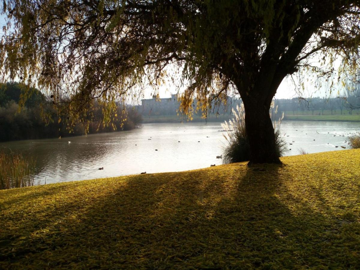LA LAGUNA - Housity