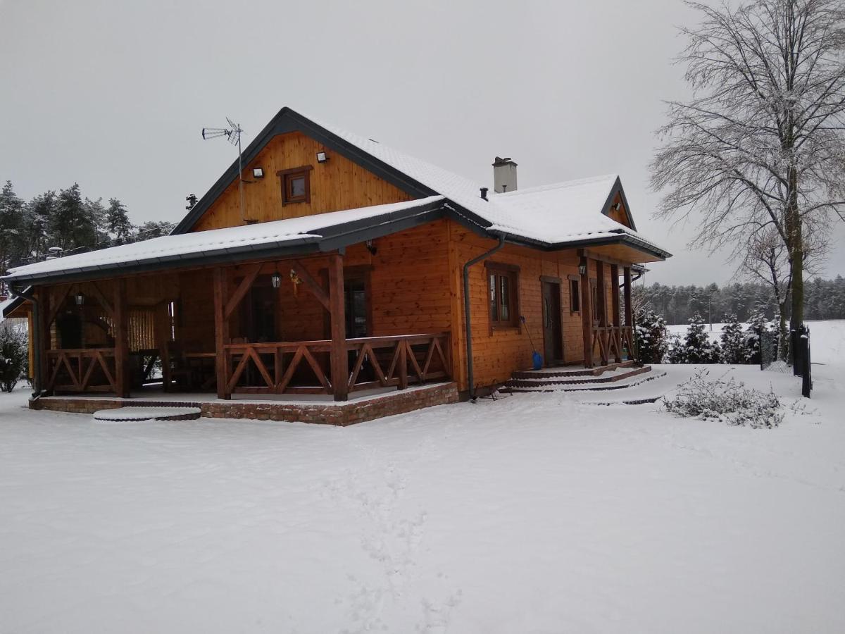 Pod klonowym sercem - Housity