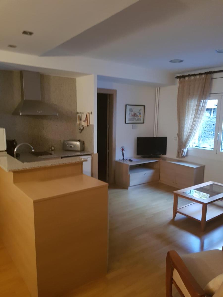 Apartaments Turistics Pirineu - Housity