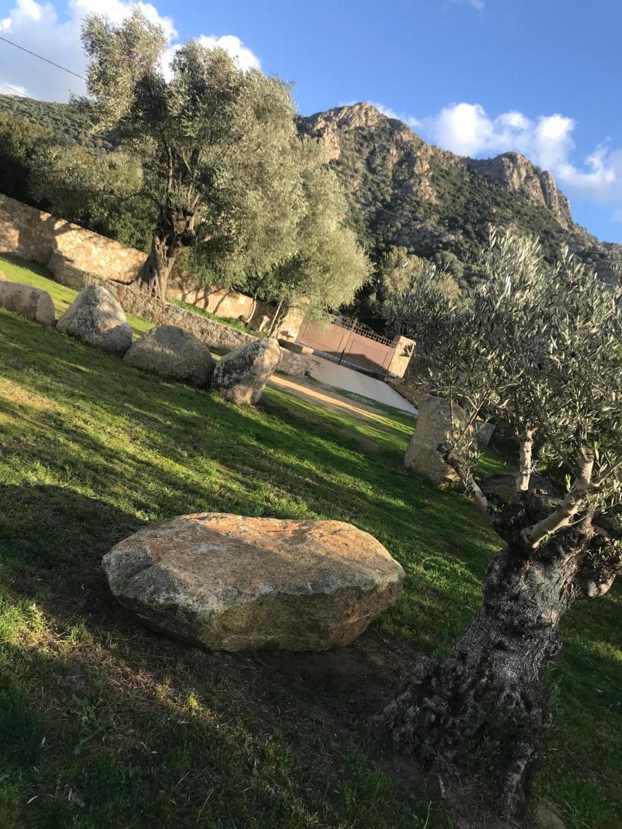 Villa CAlisti - Housity