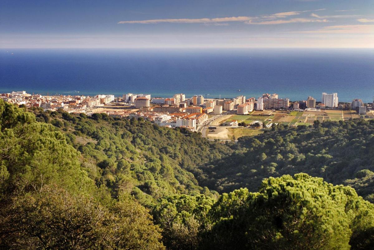 Paisaje cerca de este hotel