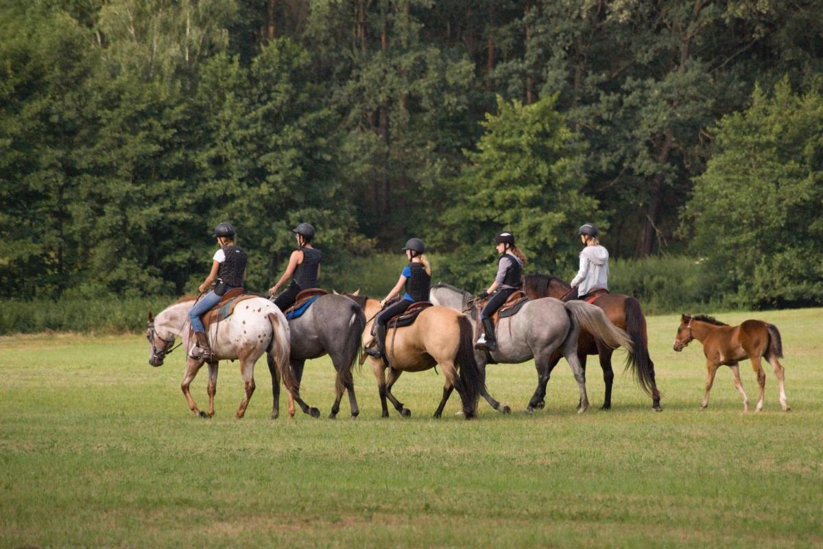 Ubytování na ranči s rybařením - Housity