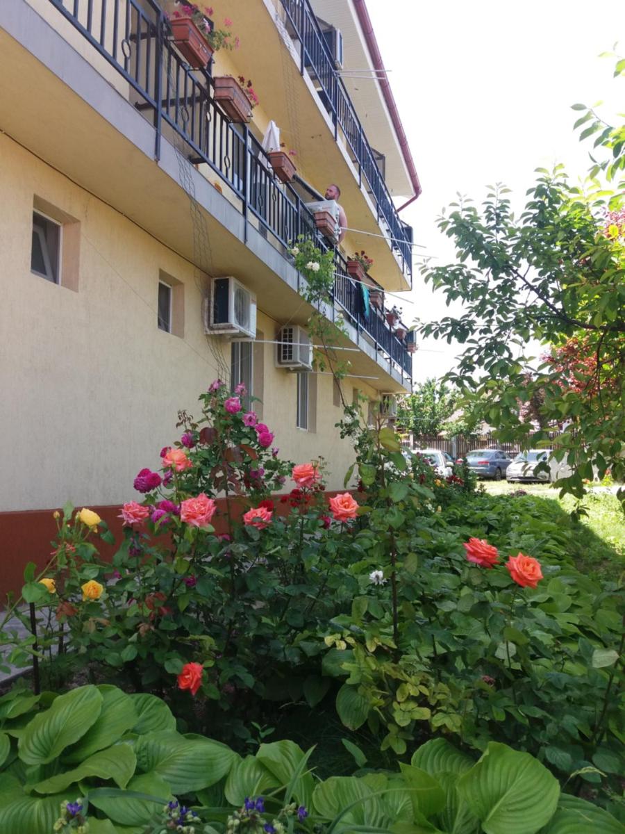 Vila Albatros - Housity