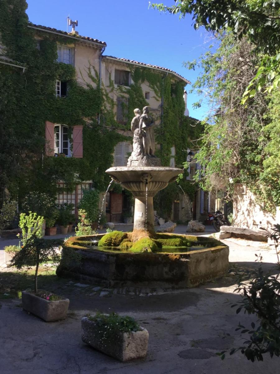 Le petit Figuier - Housity