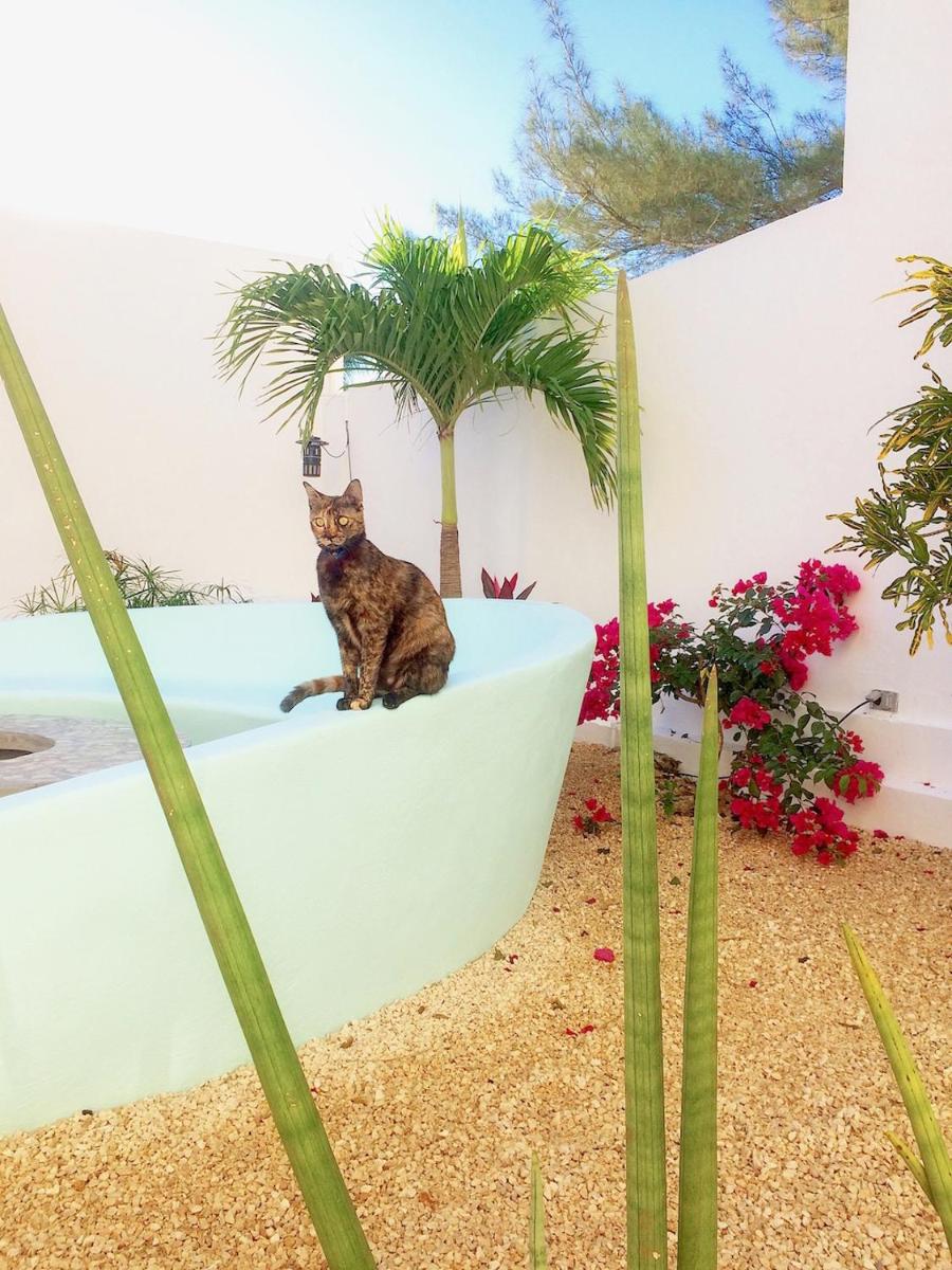 Playa 55 beach escape - adults only Guesthouse - Housity